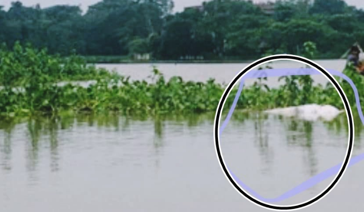 কাফনের কাপড়ে মোড়ানো মরদেহ ভাসছে বন্যার পানিতে